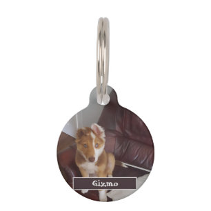 Placa Para Mascotas Detalles y foto del mascota