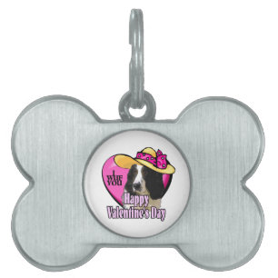 Placa Para Mascotas Día de San Valentín Español de Springer inglesa