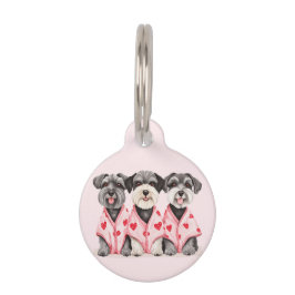 Placa Para Mascotas Día de San Valentín Schnauzer Dogs