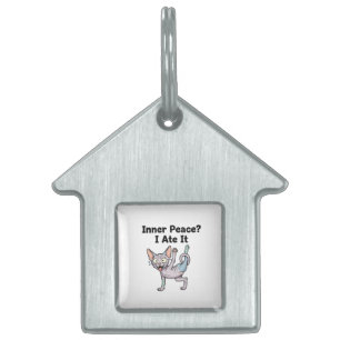 Placa Para Mascotas Dibujo divertido de gato Sphynx lavanda de estilo