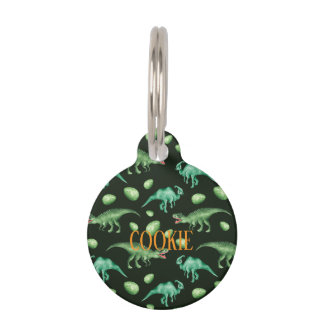 Placa Para Mascotas Dinosaurio
