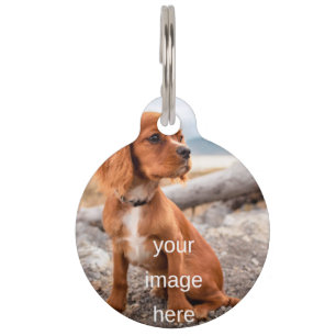PLACA PARA MASCOTAS DISEÑA TU PROPIA ETIQUETA PARA MASCOTAS