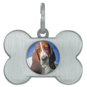 Placa Para Mascotas Diseño de perro heliano basset