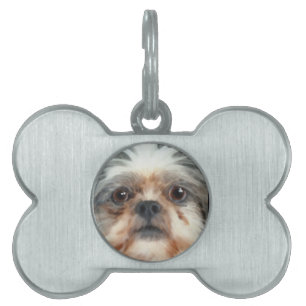 Placa Para Mascotas Diseños de perros para amantes del Mascota