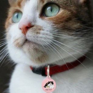Placa Para Mascotas Divertida Gata Calicó Mimada Alimentar Gato Rosa