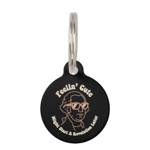 Placa Para Mascotas Divirtiéndome Hoy Podría Empezar Una Revolución Má