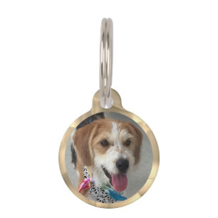 Placa Para Mascotas DIY Photo Name & Info, Gold Kaleidoscope