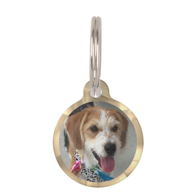 Placa Para Mascotas DIY Photo Name & Info, Gold Kaleidoscope (Anverso)