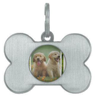 Placa Para Mascotas dog