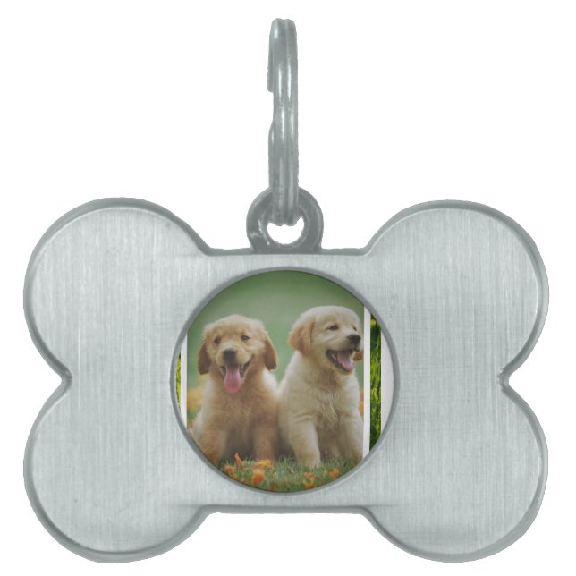 Placa Para Mascotas dog (Frente)