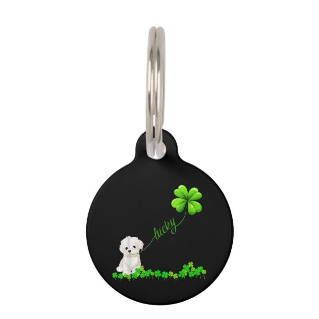 Placa Para Mascotas Dog Lover | Shamrock irlandés con suerte con malté (Anverso)