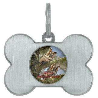Placa Para Mascotas Dos búhos en el bosque, aves, etiqueta de identifi