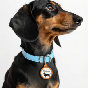 Placa Para Mascotas Doxie Dog Love - Cute Little Dachshund