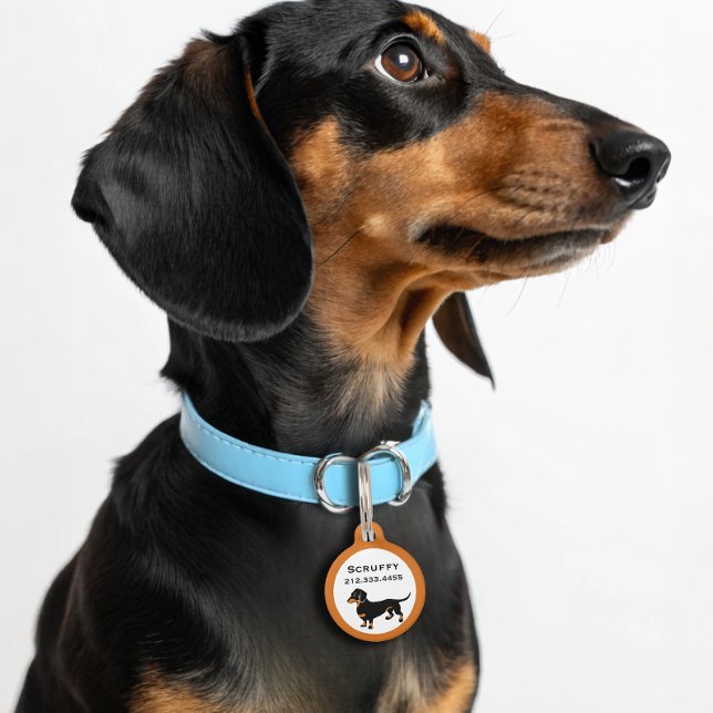 Placa Para Mascotas Doxie Dog Love - Cute Little Dachshund (Subido por el creador)