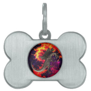Placa Para Mascotas Dragón