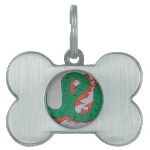 Placa Para Mascotas Dragón chino