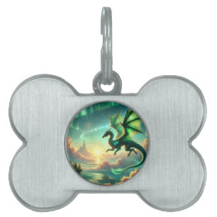 Placa Para Mascotas Dragón verde