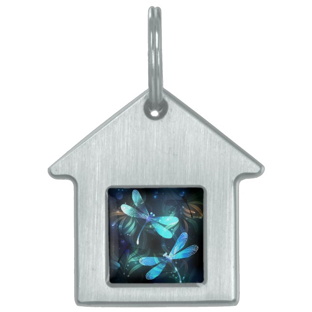 Placa Para Mascotas Dragonflies (Frente)