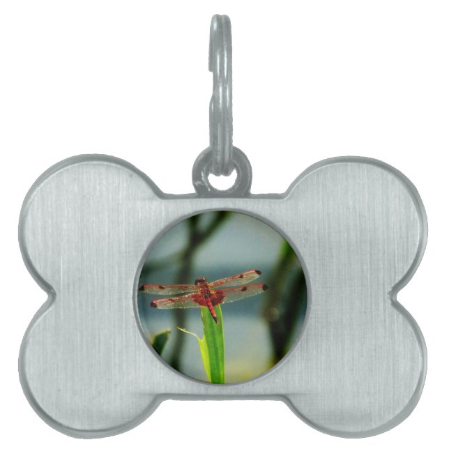 Placa Para Mascotas Dragonfly rojo y negro visto (Frente)