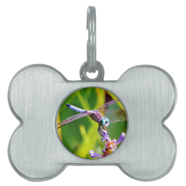 Placa Para Mascotas Dragonfly verde azulado y púrpura (Frente)