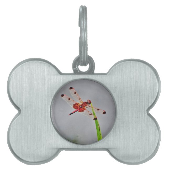 PLACA PARA MASCOTAS DSC00029.JPG (Frente)