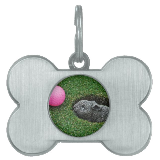 PLACA PARA MASCOTAS DSCF0652.JPG (Frente)