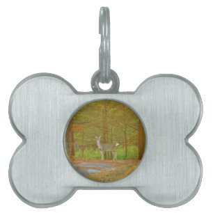 PLACA PARA MASCOTAS DSCF4041.JPG