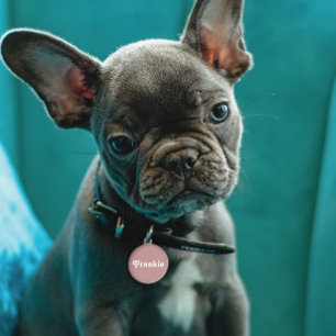 Placa Para Mascotas Dusty Mauve Retro