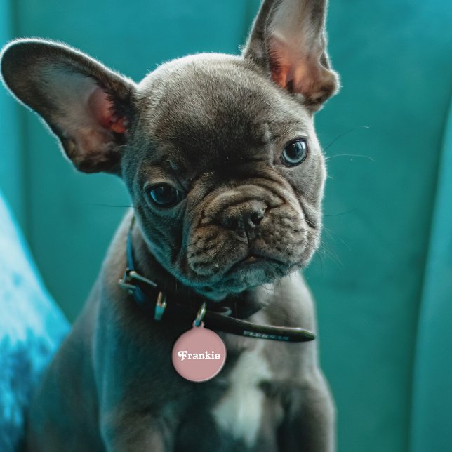 Placa Para Mascotas Dusty Mauve Retro (Subido por el creador)