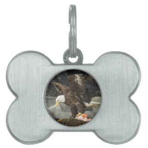 Placa Para Mascotas El águila calva suprema