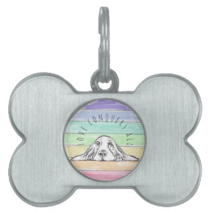 Placa Para Mascotas el amor conquista todo perro arcoíris basset hound