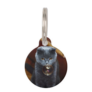 Placa Para Mascotas El gato y la burbuja del jabón