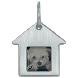 Placa Para Mascotas El Havanese