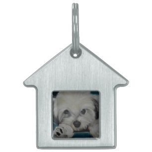 Placa Para Mascotas El Havanese