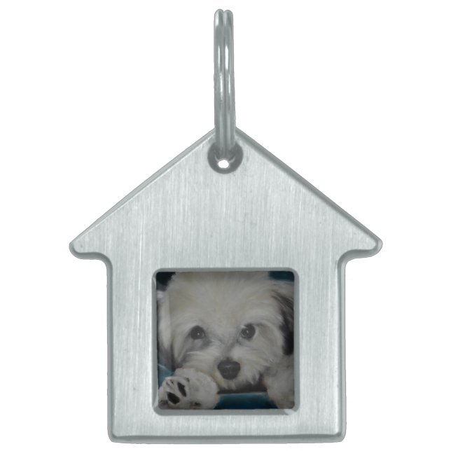 Placa Para Mascotas El Havanese (Frente)