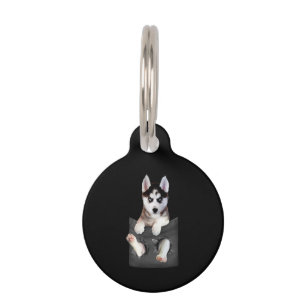 Placa Para Mascotas El Husky Siberiano En Un Bolsillo