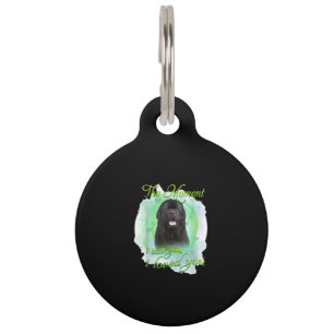 Placa Para Mascotas El Momento En Que Te Vi Te Amé Regalo Para Perro
