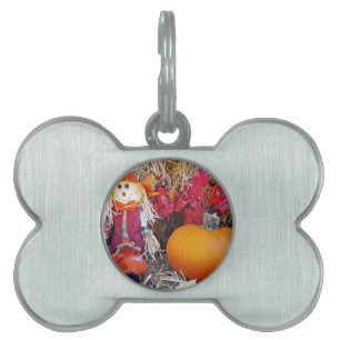 Placa Para Mascotas El pequeño señor Scarecrow