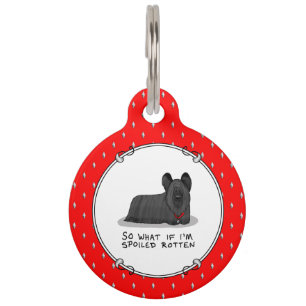 Placa Para Mascotas El podrido podrido podrido podrido podrido (negro)