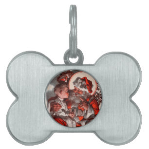 Placa Para Mascotas El revestimiento de Santa
