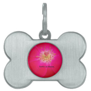 Placa Para Mascotas El Rosa cósmico: El diseño de la adoración de la n