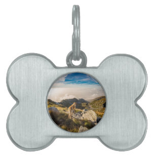 Placa Para Mascotas El viaje