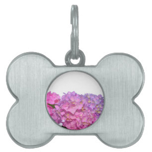 Placa Para Mascotas Elegante floral rosa púrpura hidrangeas