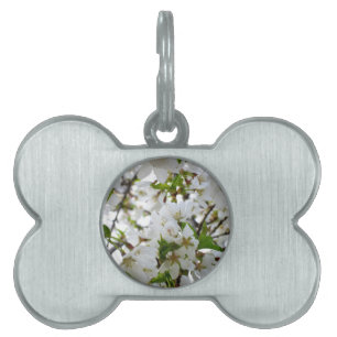 Placa Para Mascotas Elegante foto de flor floral blanca