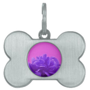 Placa Para Mascotas Elegante morado frambuesa floral