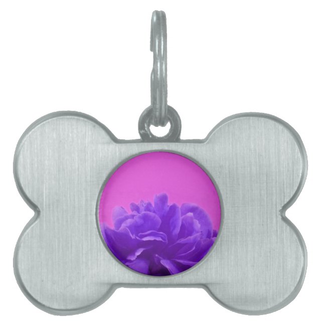 Placa Para Mascotas Elegante morado frambuesa floral (Frente)