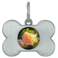 Elegante naranja clásico rosas de melocotón floral