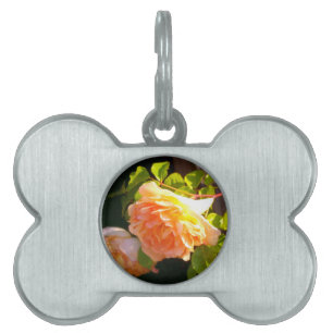 Placa Para Mascotas Elegante naranja clásico rosas de melocotón floral