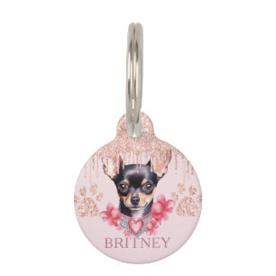 Placa Para Mascotas Elegante perro chihuahua con Purpurina personaliza