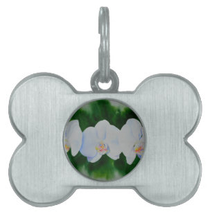 Placa Para Mascotas Elegante pintura de orquídeas de color blanco trop